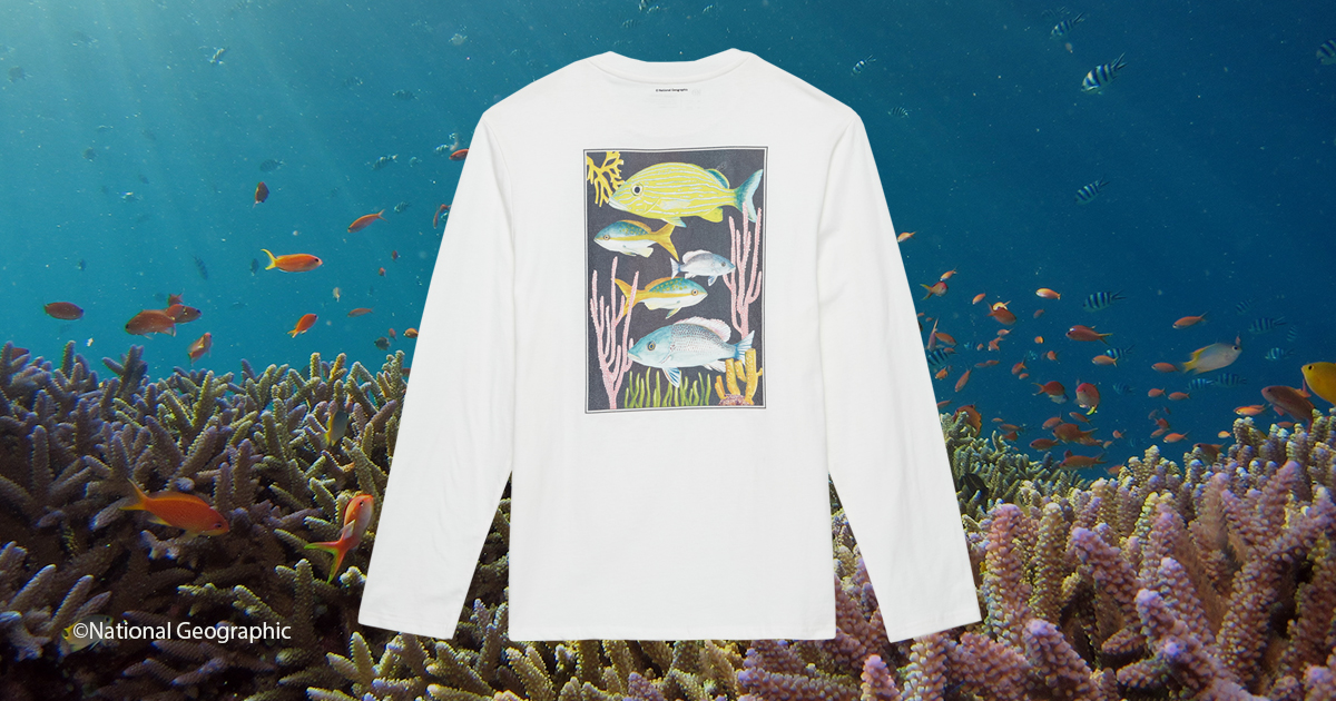 national geographic x tentree