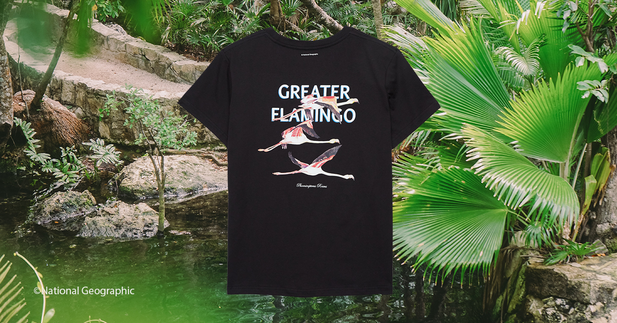 national geographic x tentree