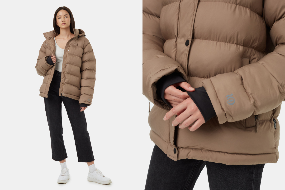 winter jacket guide