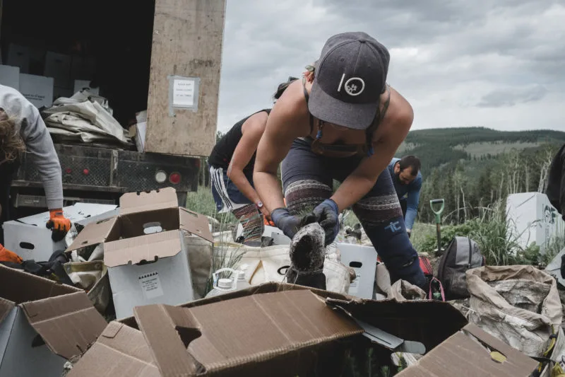 reforestation tree planter at work