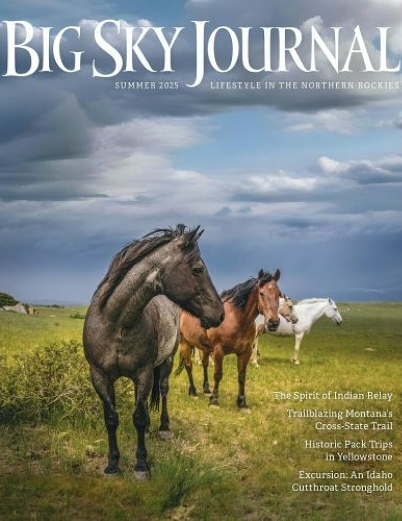 01 BSJ SU25 Cover page 0001 414x500