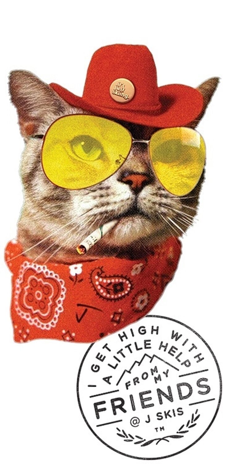 J skis cat high 390 800 95