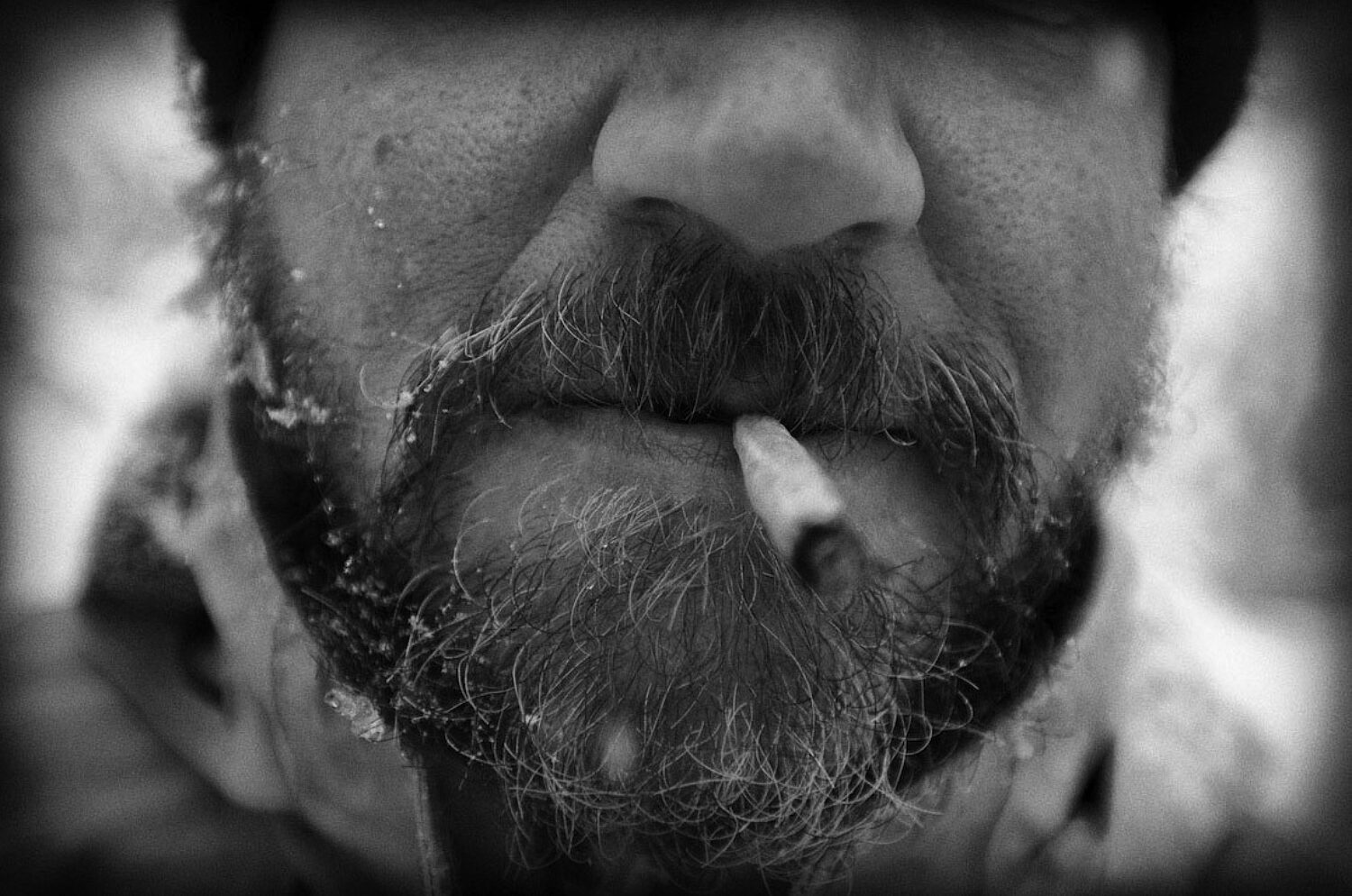 Bearded skier 1440 753 95