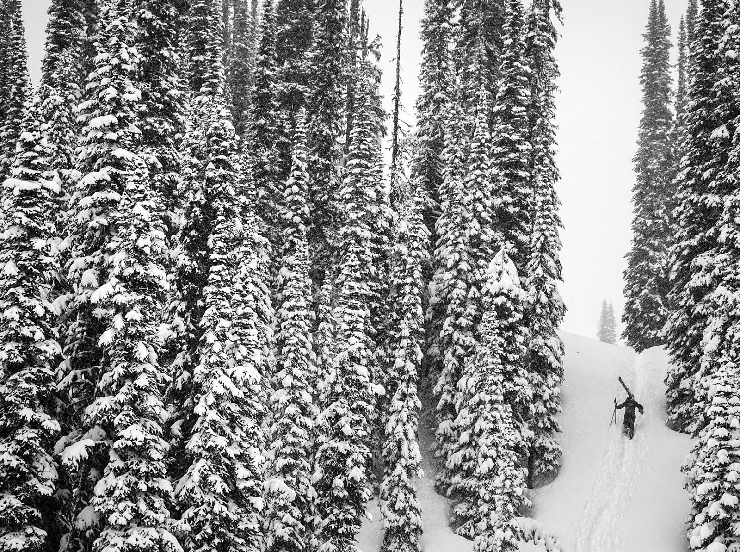 Black and ewhite pow ryan creary