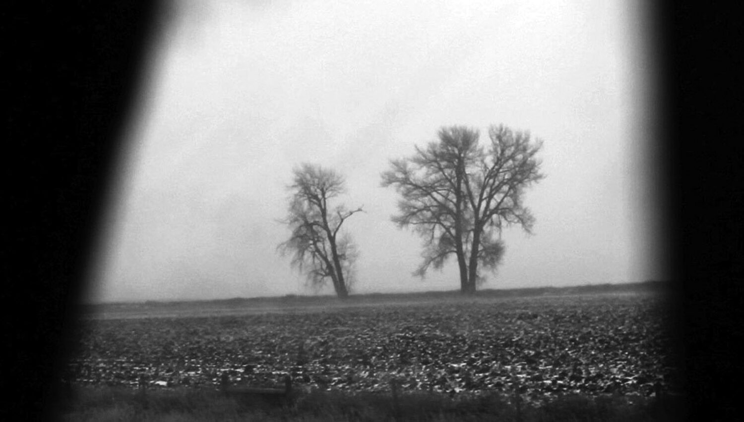 In search of skiing window 1440 670 95