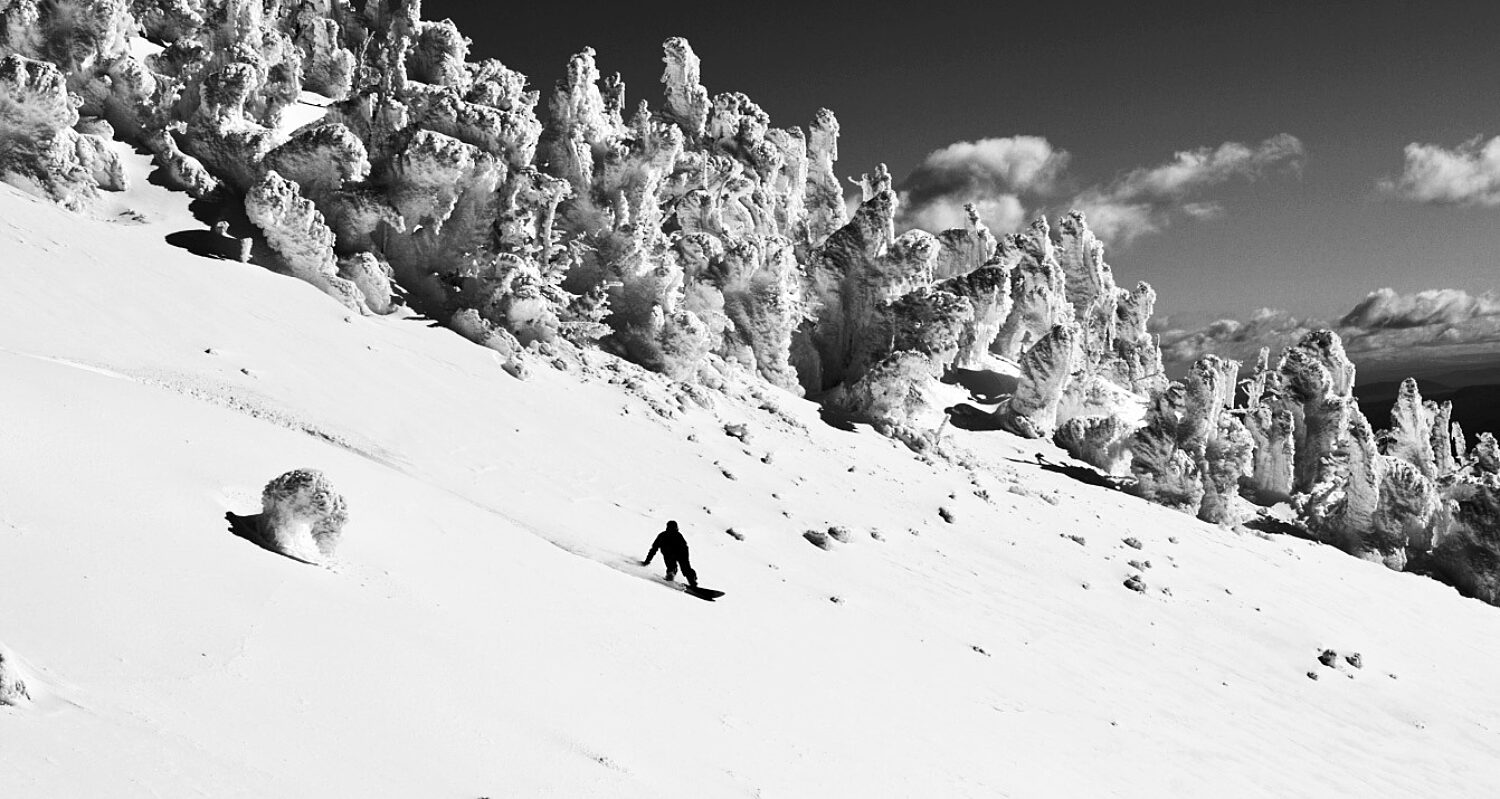 Morgan maassen rain dogs