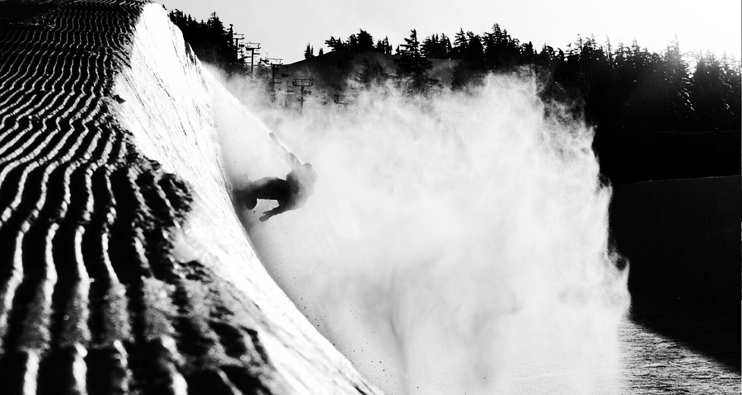 Morgan maassen rain dogs photography