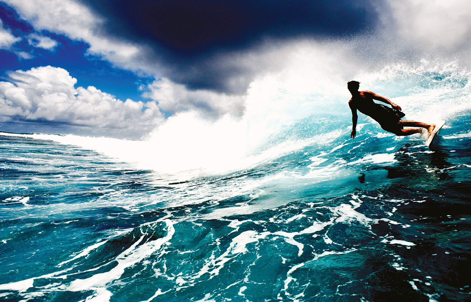 Morgan maassen surf