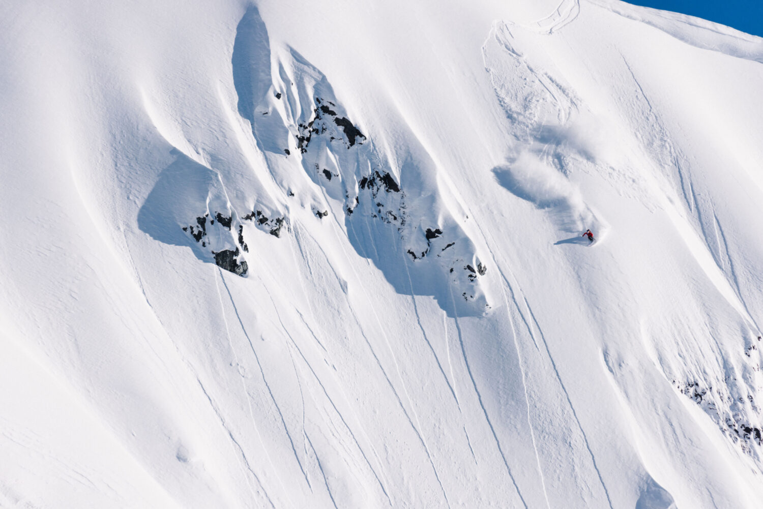 Shannoncorsi nexusstillasset 7399 copy