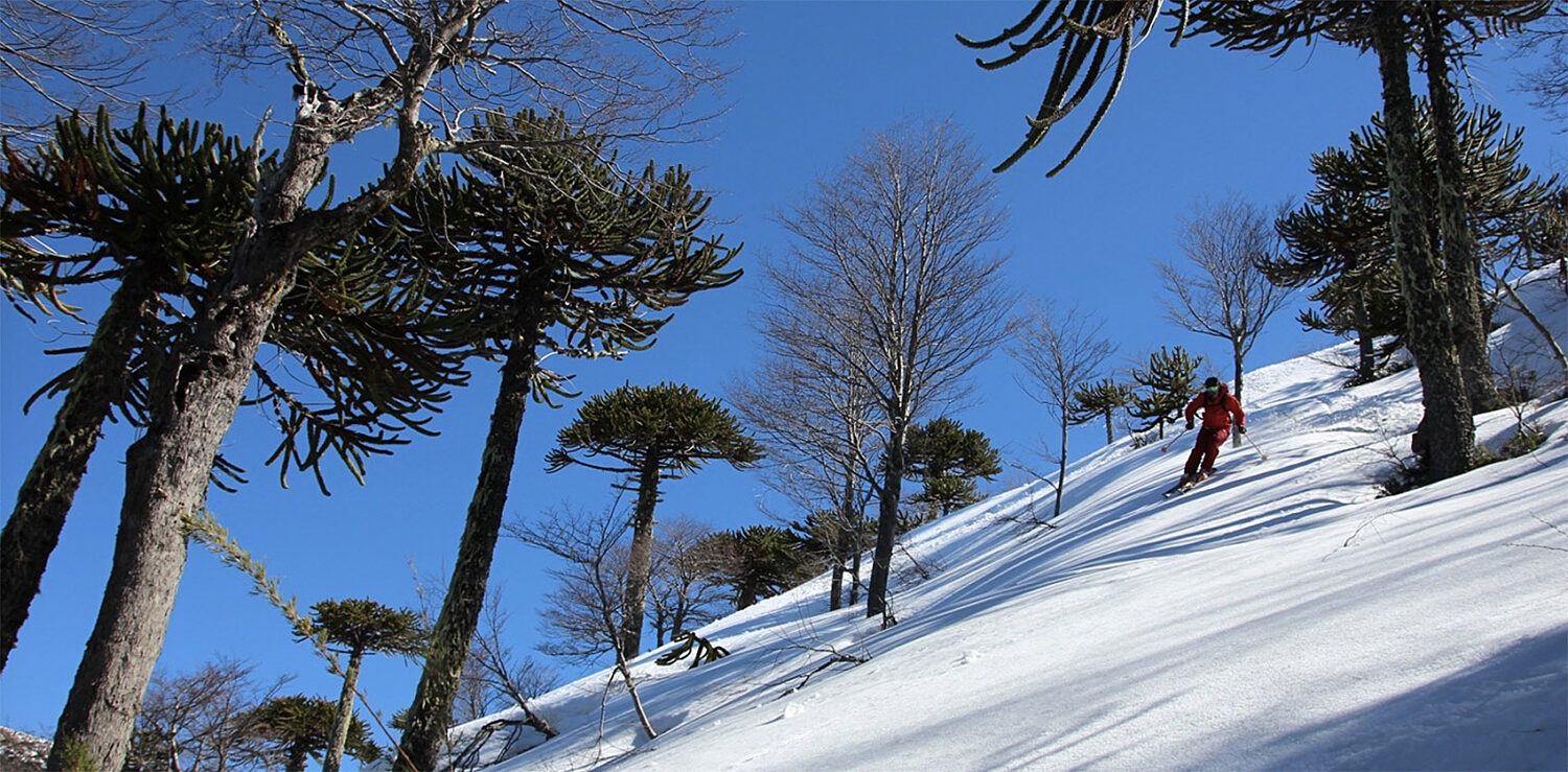 Skiing corralco argentina casa tours