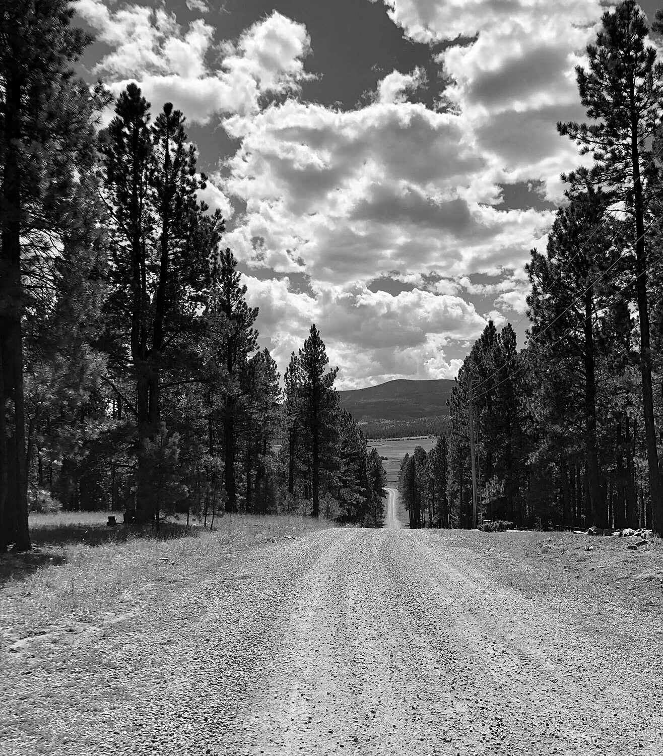 Stephanie klepacki blacck white montana