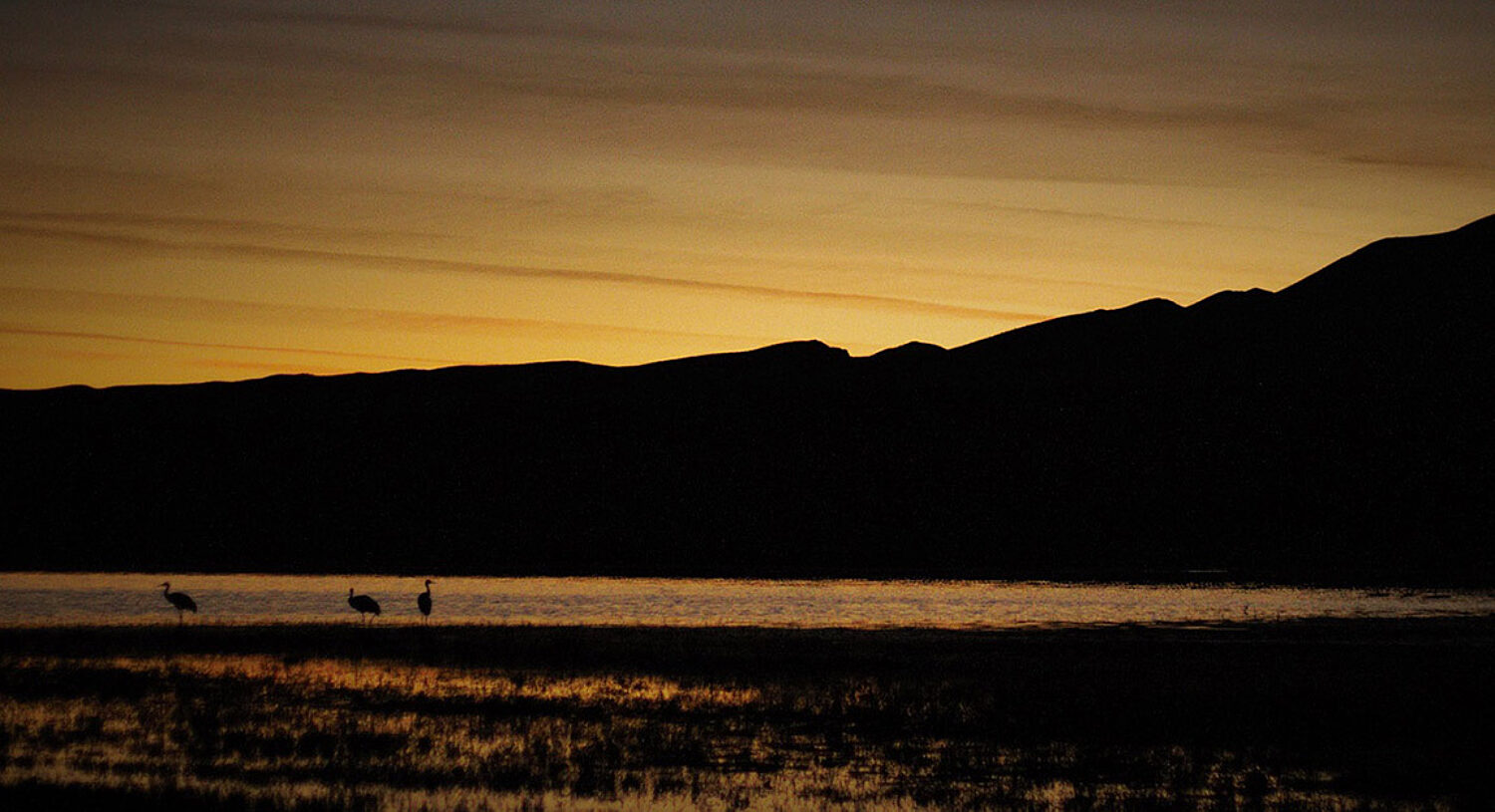 Sunset birds skiing 1440 722 95