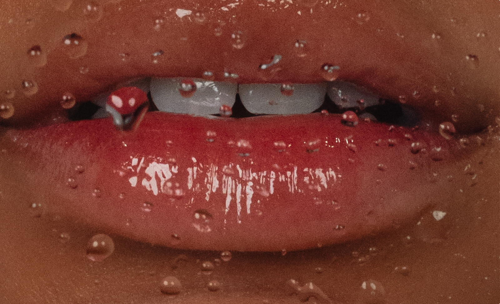 Bowler Esthetics CTA Three