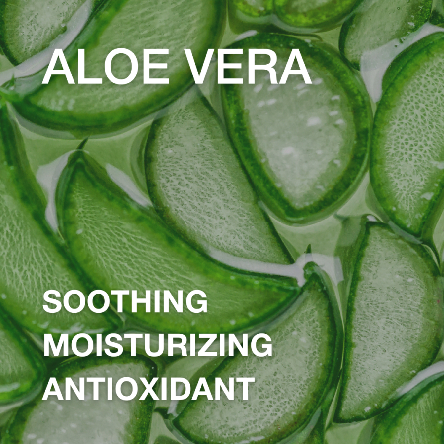 Aloe Vera Details