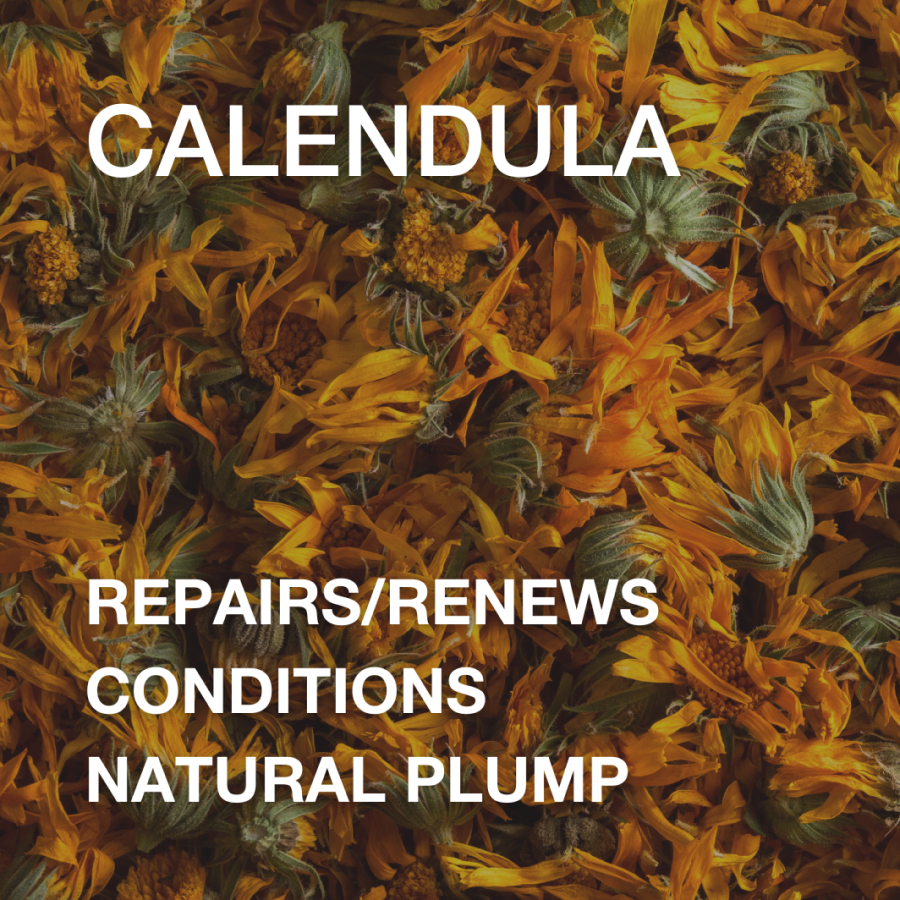 Calendula Details