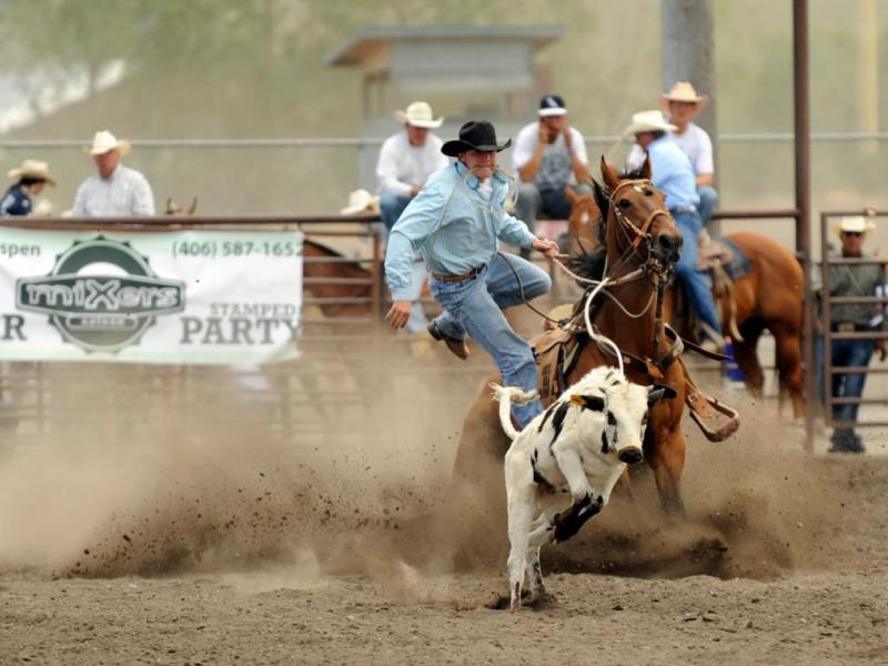 Saddle Up for the 2026 Rodeo Season