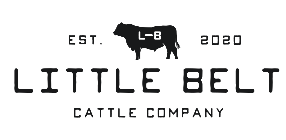 Little belt cattle