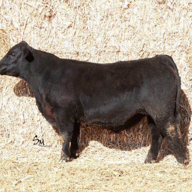 image blog post last sunday