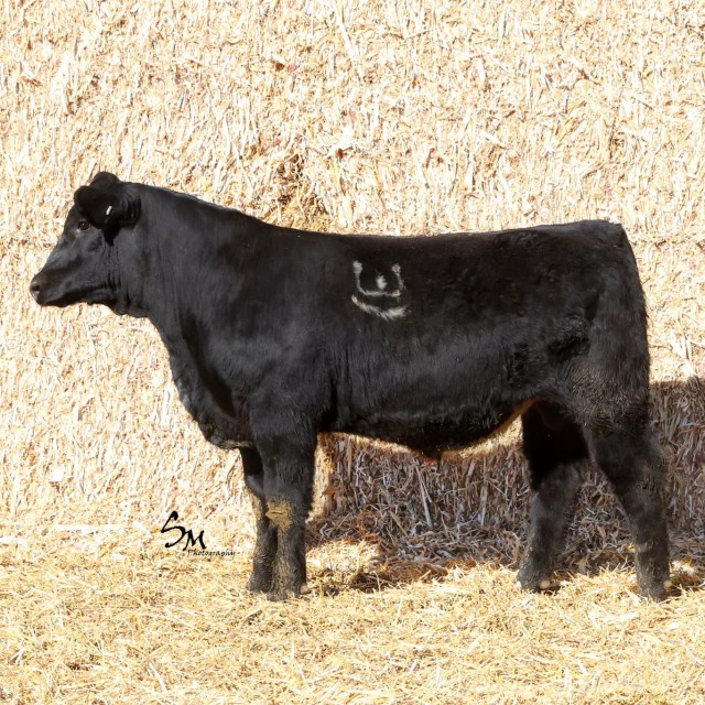 image blog post last sunday