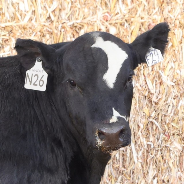 image blog post last sunday