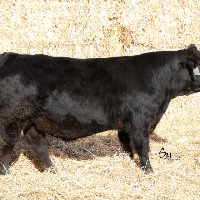 blog masonry last sunday