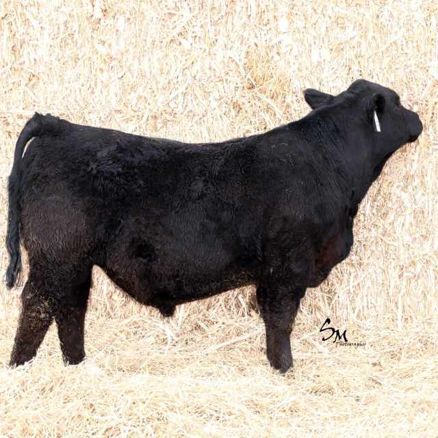 image blog post last sunday