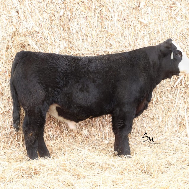 image blog post last sunday