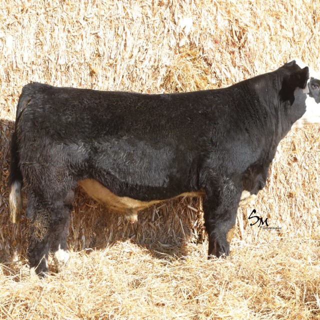 blog masonry last sunday