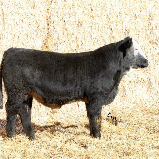 image blog post last sunday