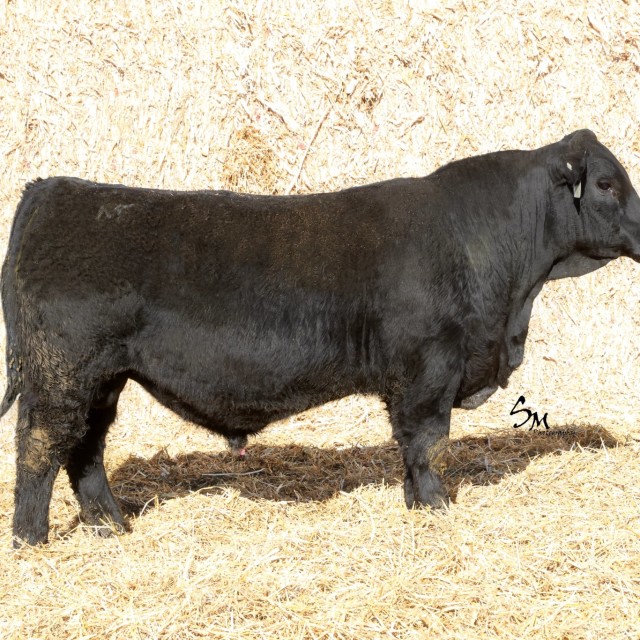 image blog post last sunday