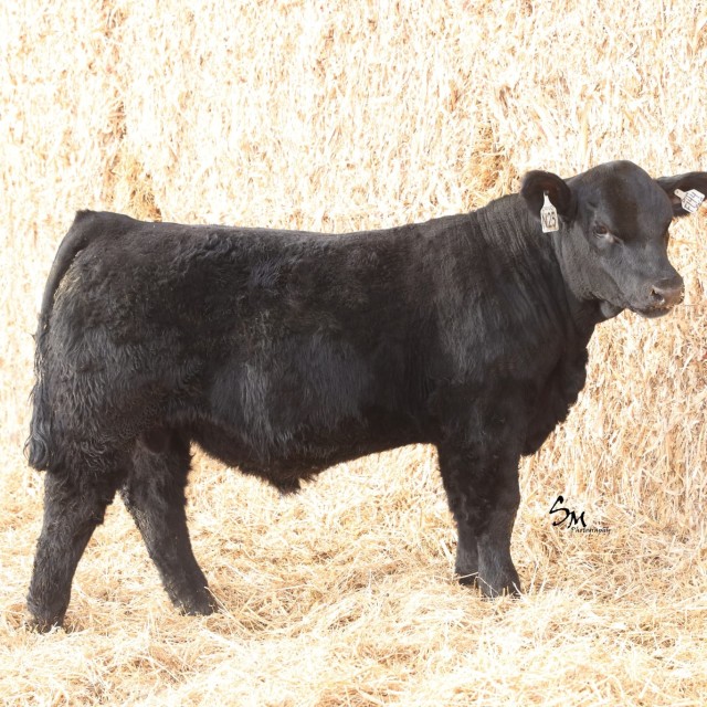 blog masonry last sunday