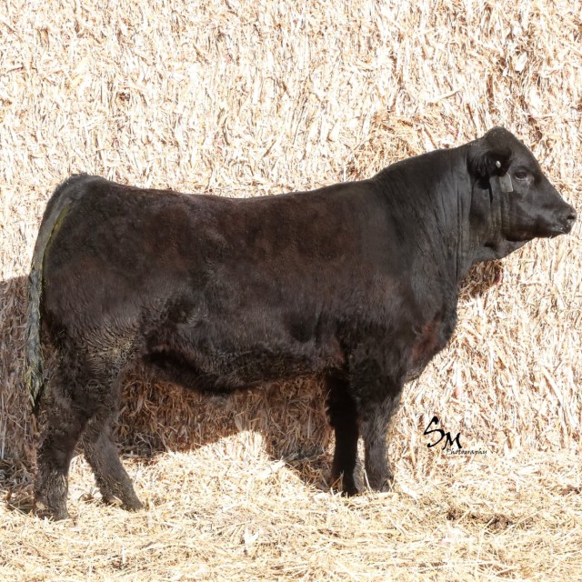 image blog post last sunday