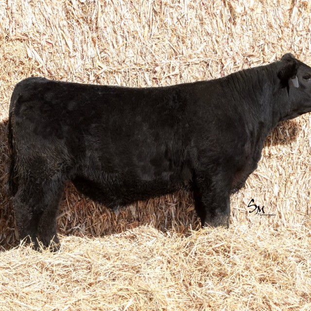 image blog post last sunday