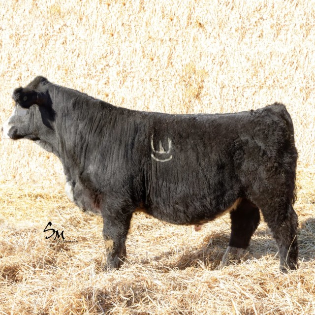 image blog post last sunday