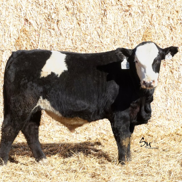 image blog post last sunday