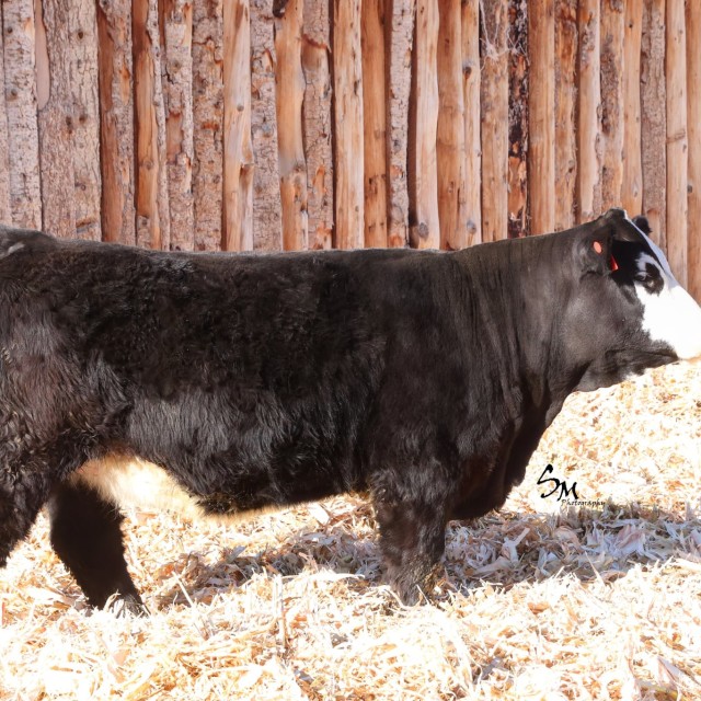 image blog post last sunday