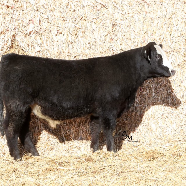 image blog post last sunday