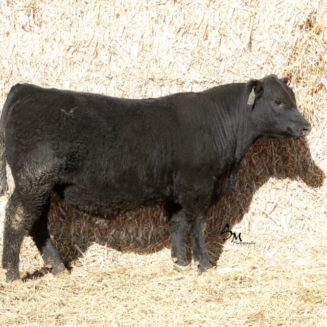 image blog post last sunday