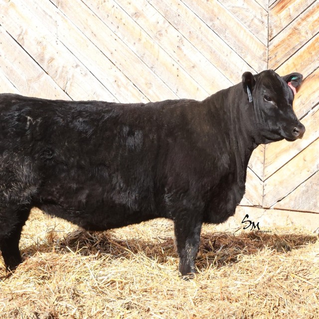 image blog post last sunday