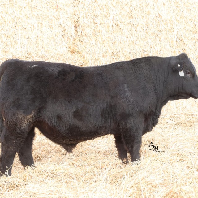 blog masonry last sunday