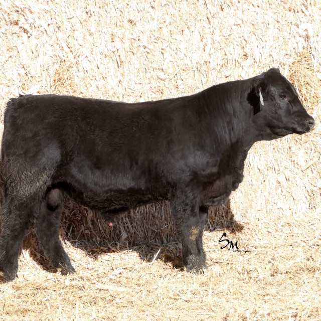 image blog post last sunday