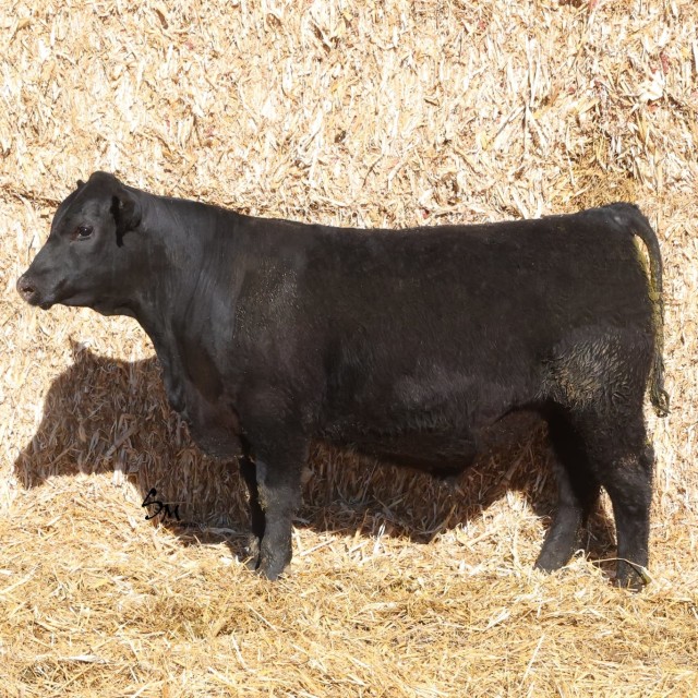 image blog post last sunday