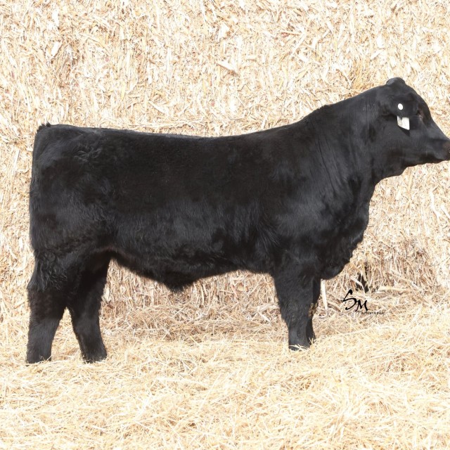 blog masonry last sunday