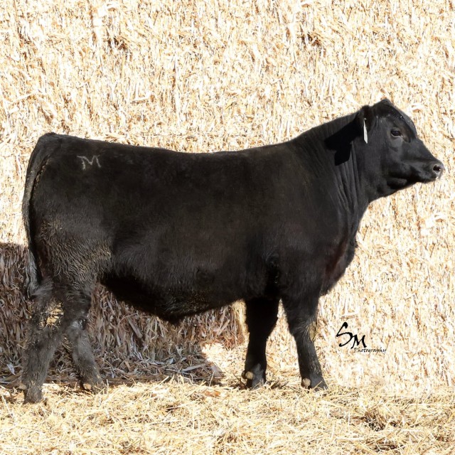 image blog post last sunday