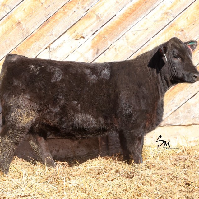 image blog post last sunday