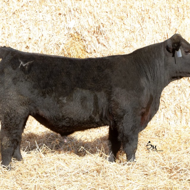 image blog post last sunday