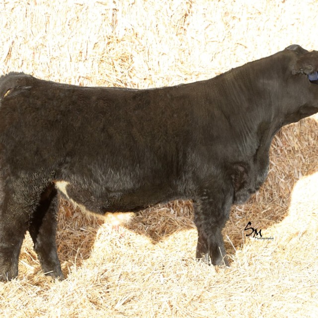 blog masonry last sunday