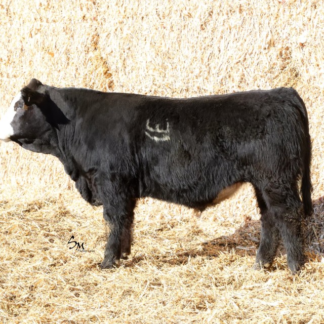 image blog post last sunday