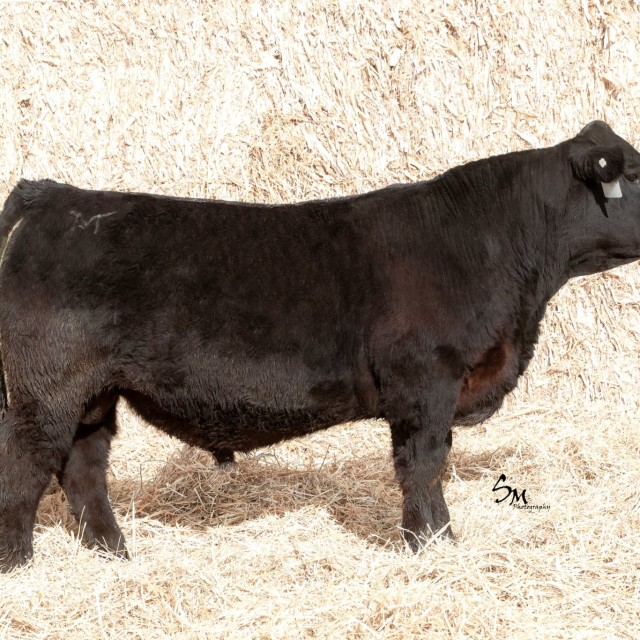 blog masonry last sunday