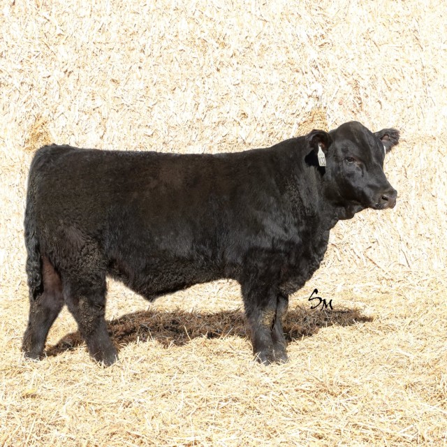 image blog post last sunday